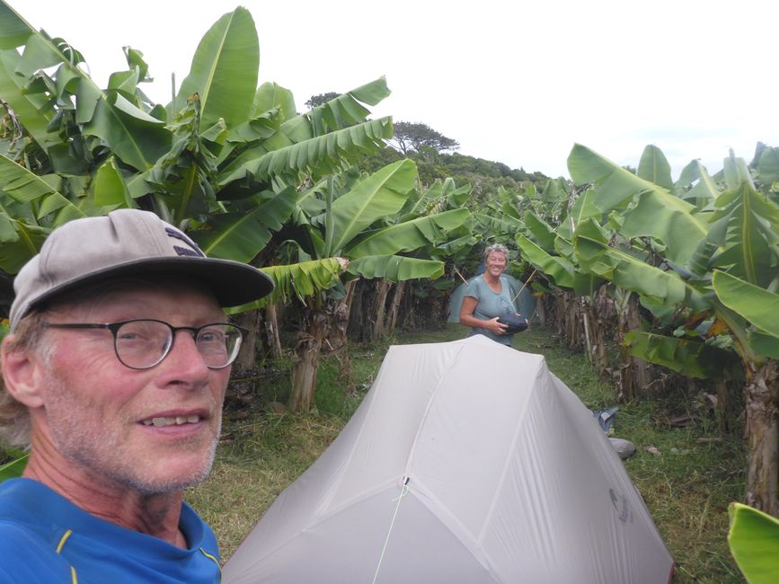 18:10h das Zelt steht zwischen Bananen 