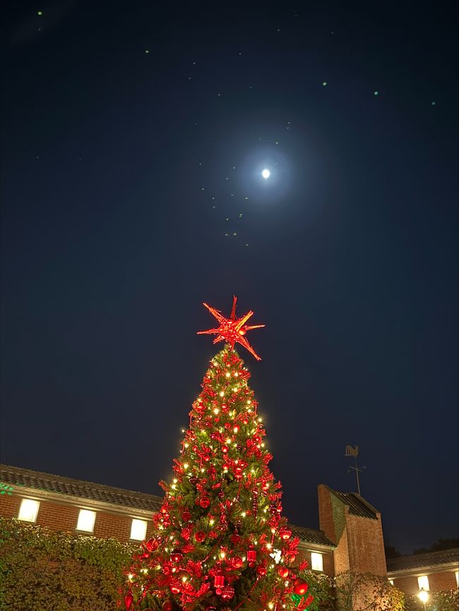 Christmas in the air - with the moon