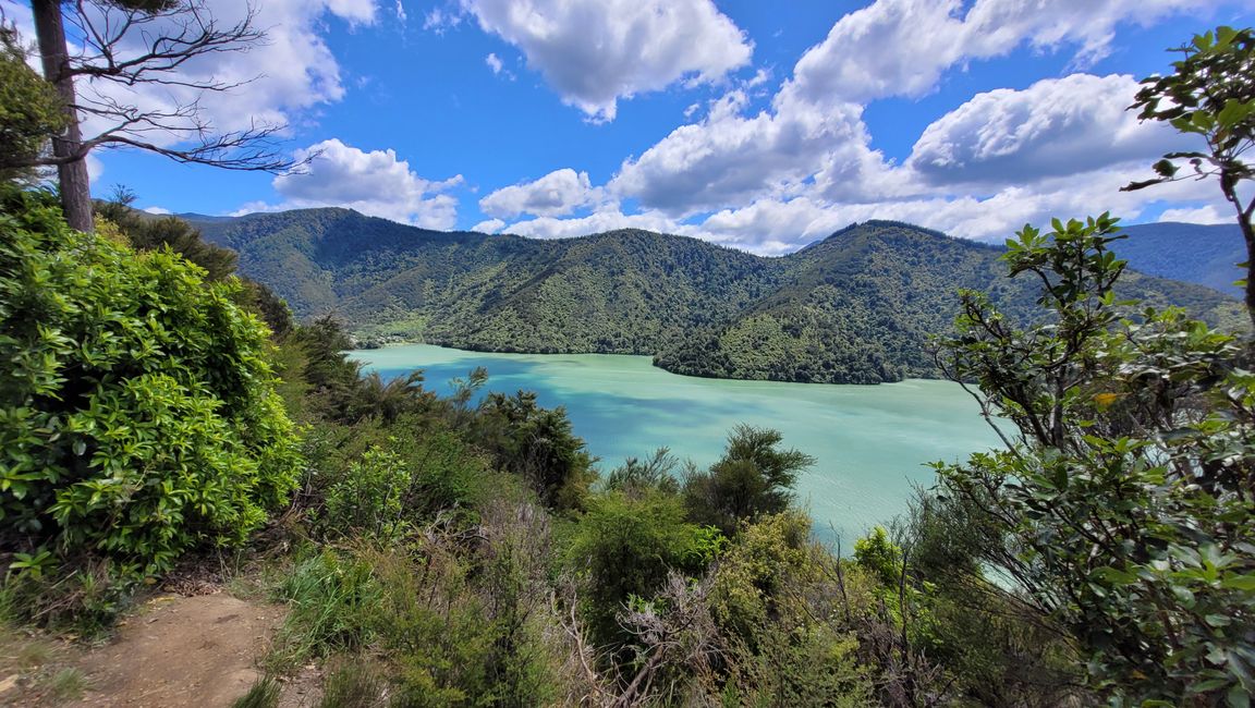 Von den Seehunden weiter in den Abel Tasman-Nationalpark