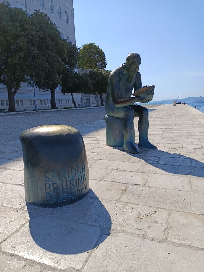 Status von Špiro Brusina