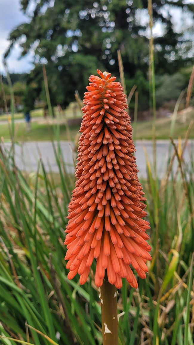 29.Januar-27.Februar 2025 Neuseeland
9.Februar