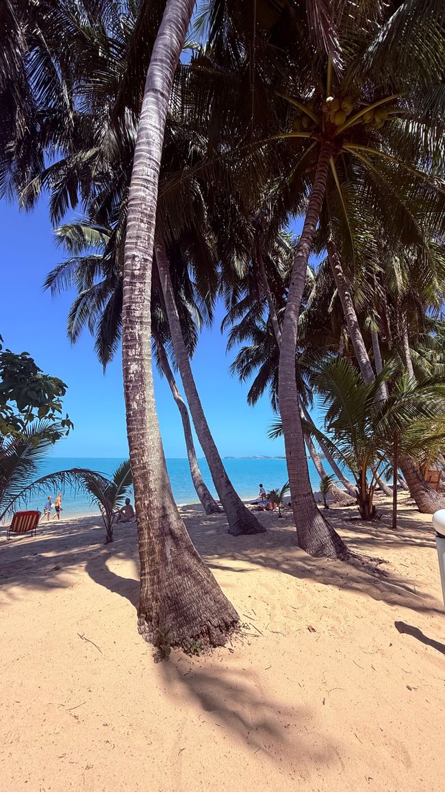 Koh Samui Strand Maenam