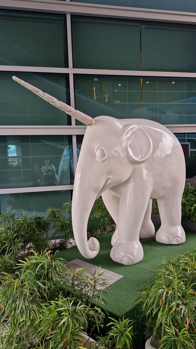 EInhorn-Elefant
