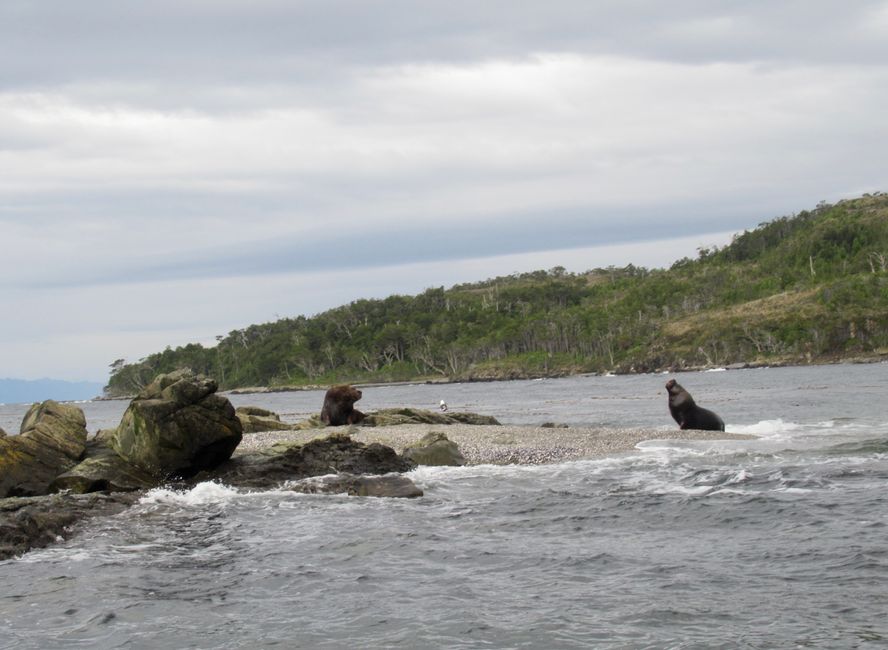 À partir de maintenant, 4 jours de voyage en bateau