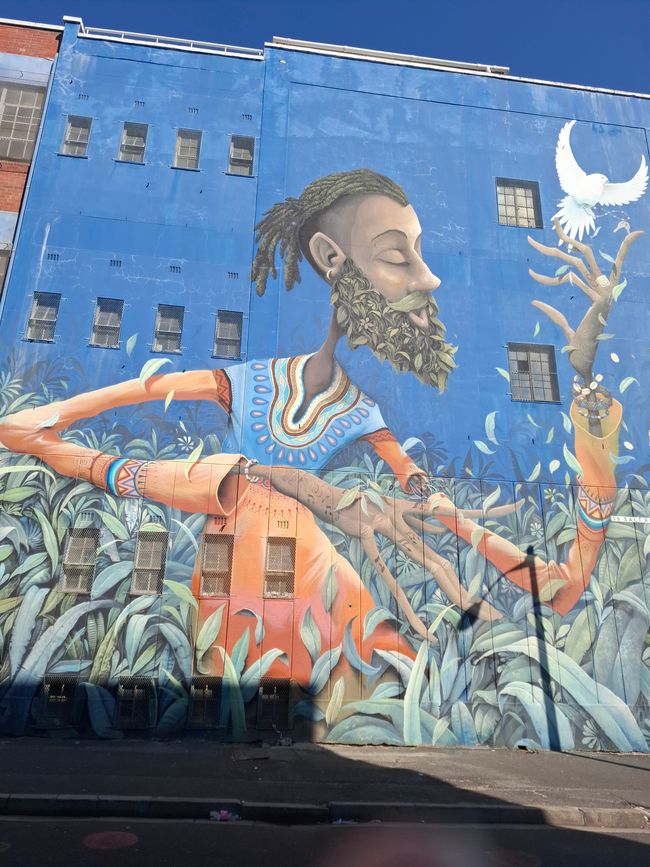 Descubrimiento del arte (y comida) de Salt River