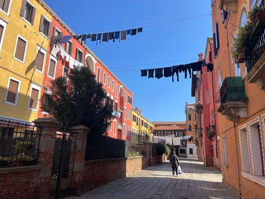 Geniale corda per panni da casa a casa