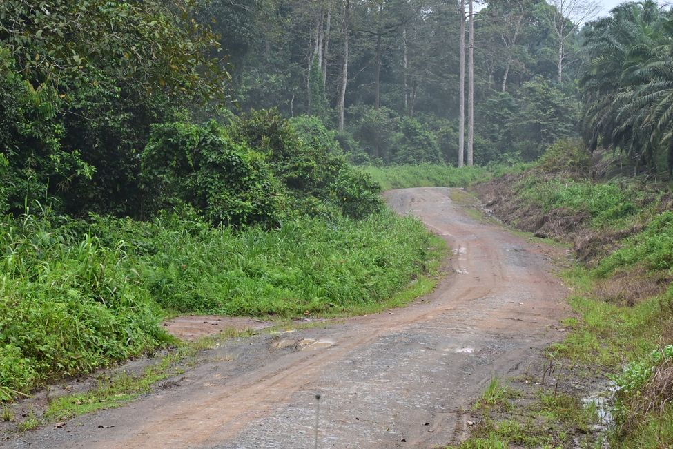 Tabin Wildlife Resort