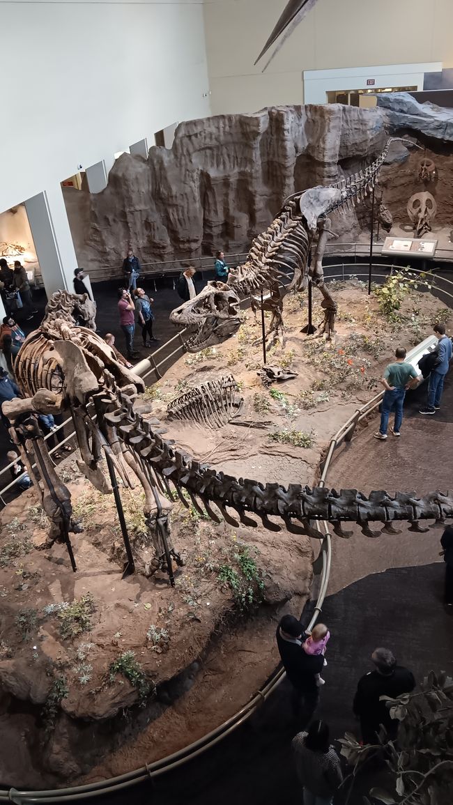 Museum of natural history I