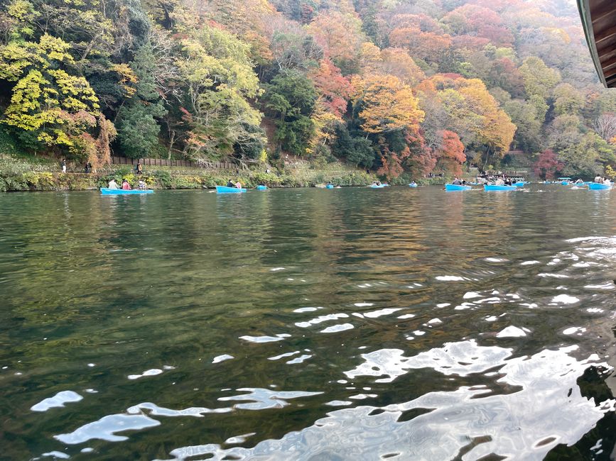 23.Kapitel: Arashiyama oder ein Tag von vorne bis hinten gelungen