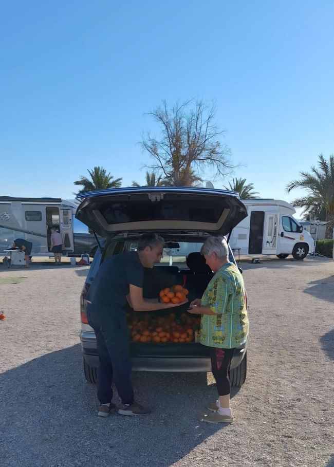 Il frutteto è qui...