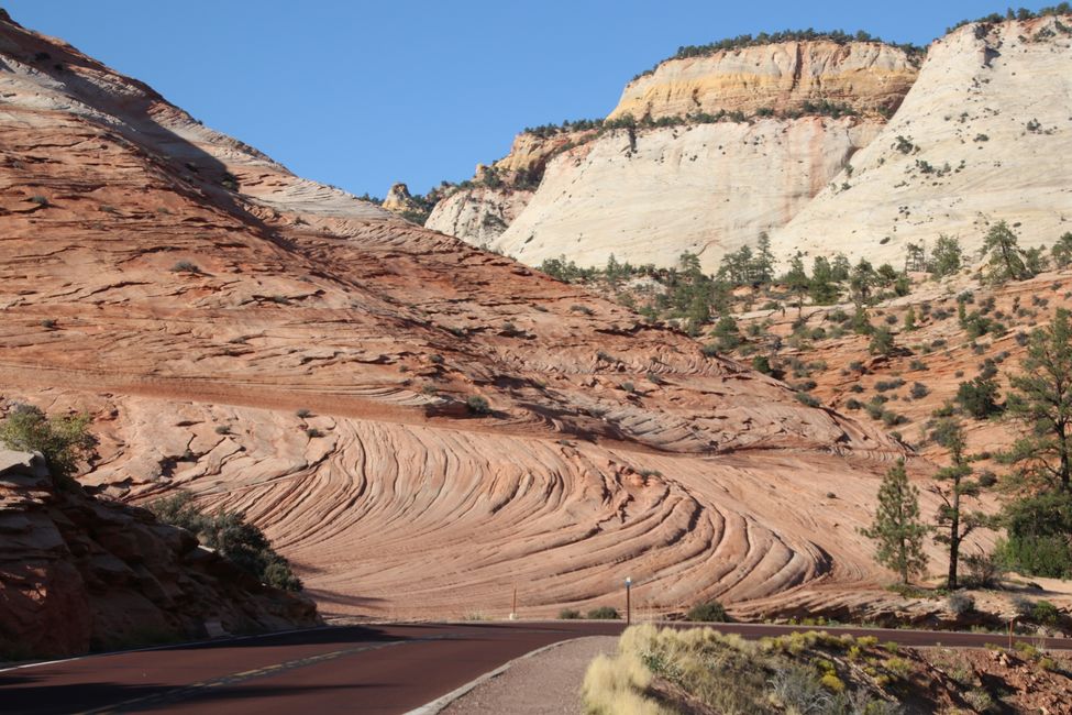 Zion NP East Entrance