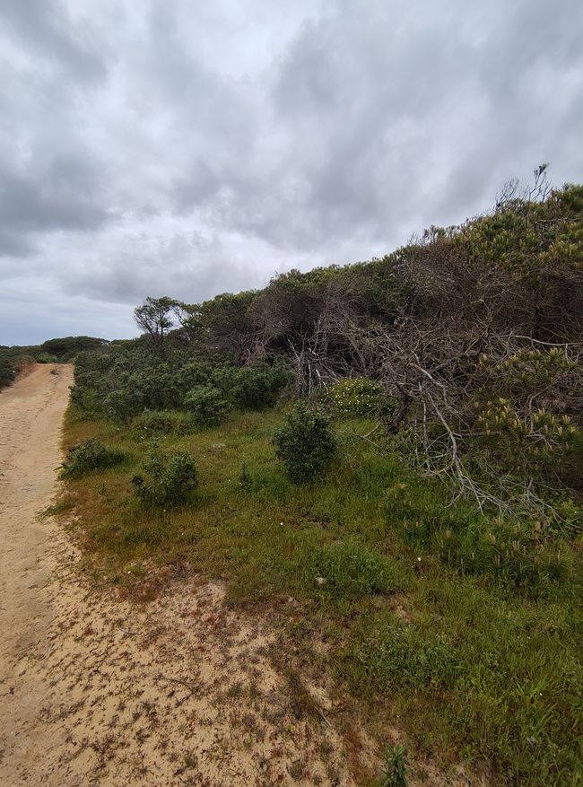 Vila do Bispo -> Carrapateira