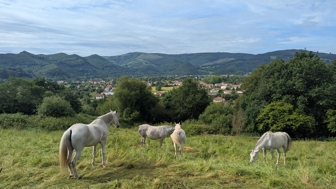 4. Etappe Camino del Norte von Liendo nach Santona