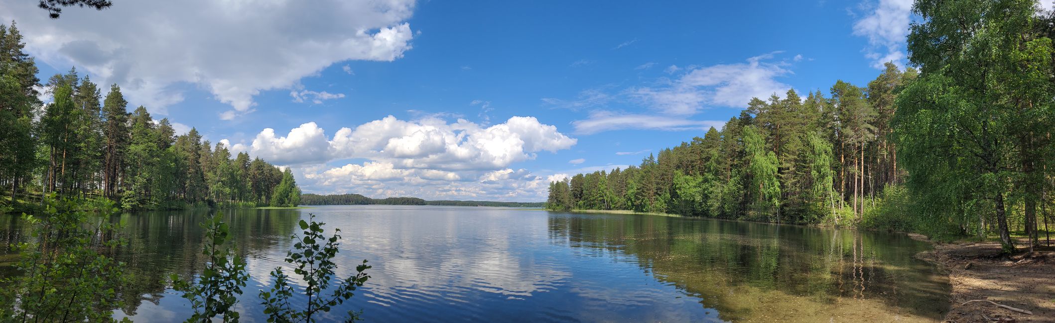 Finlandia 31 de mayo - 14 de junio de 2024 / 8 de junio