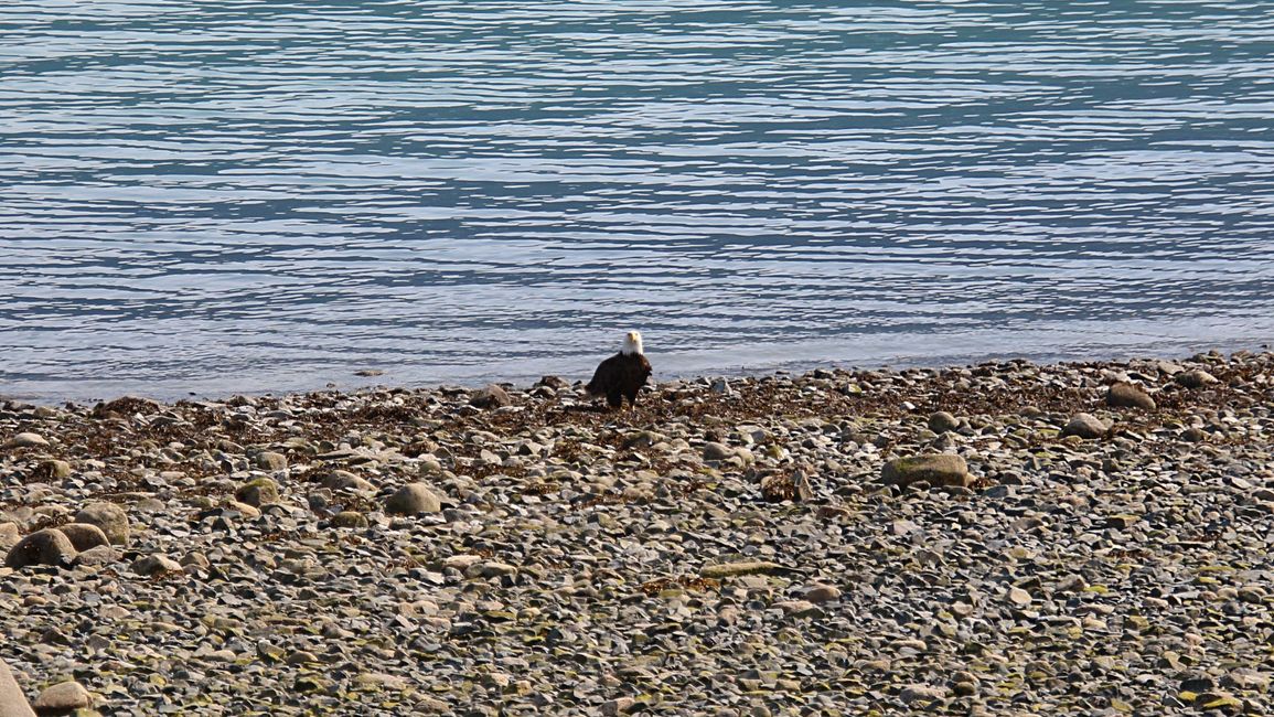 Río Chilkoot con vista al mar