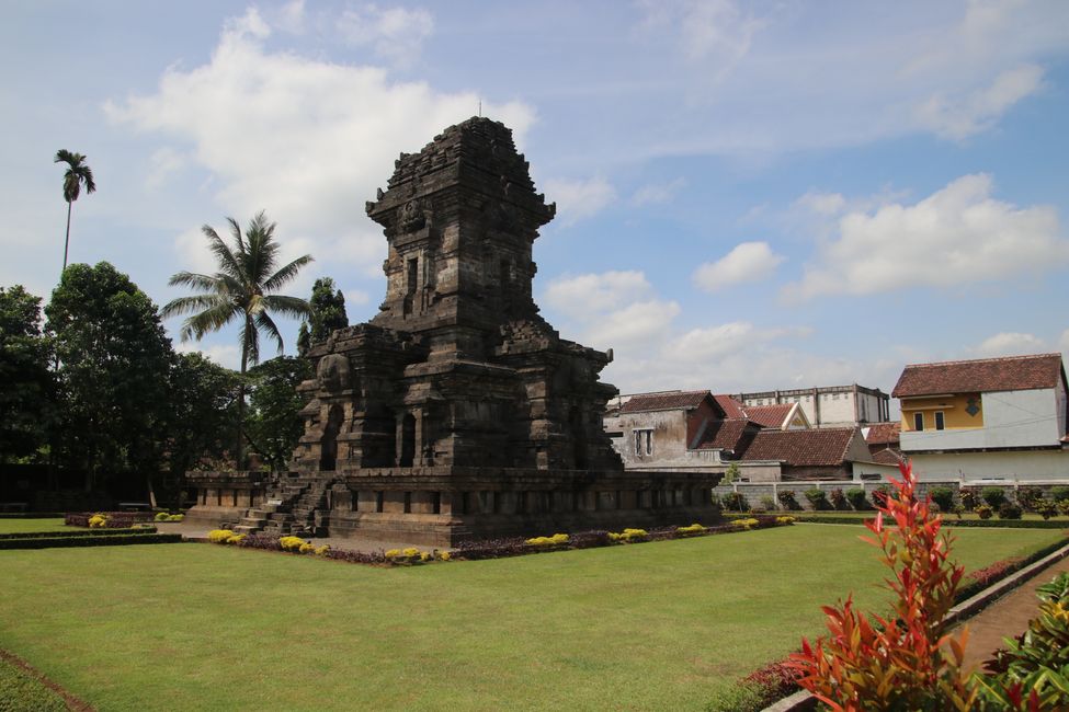 Tag 7 : Malang, thé et un volcan