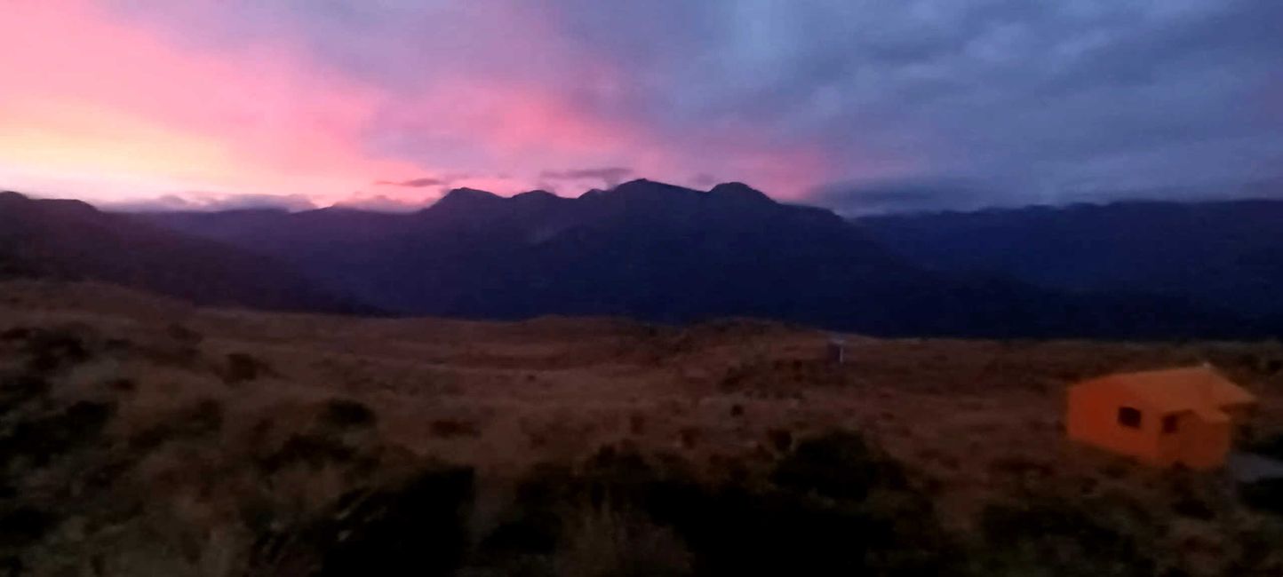 2025-03-11 Côte ouest NZL Partie 2
