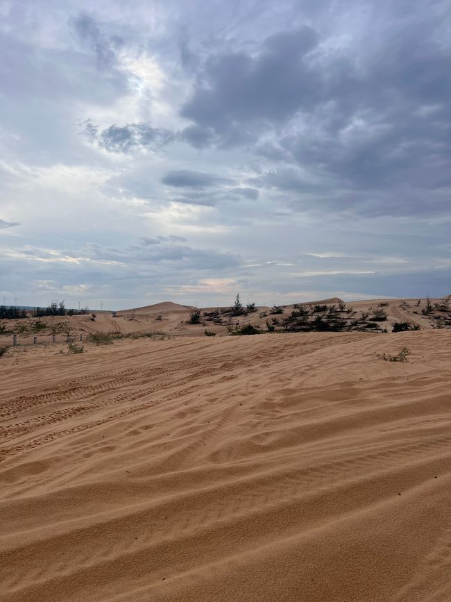 Sanddünen 