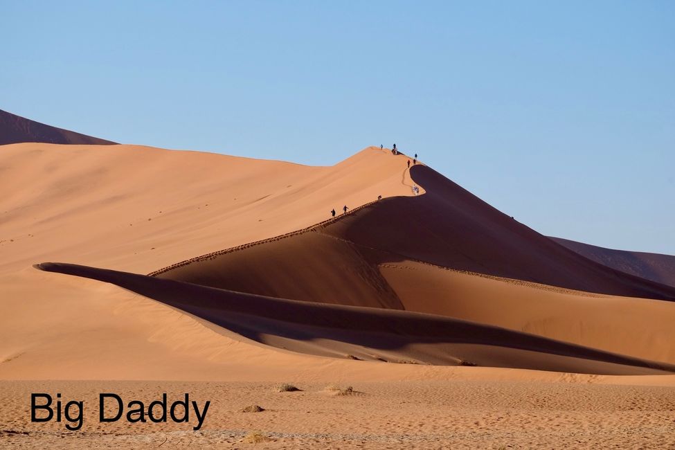 Dünenbesteigung in Namib Wüste