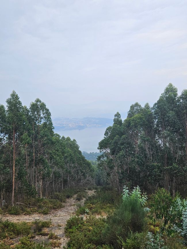 Miradoiro do Loureiro