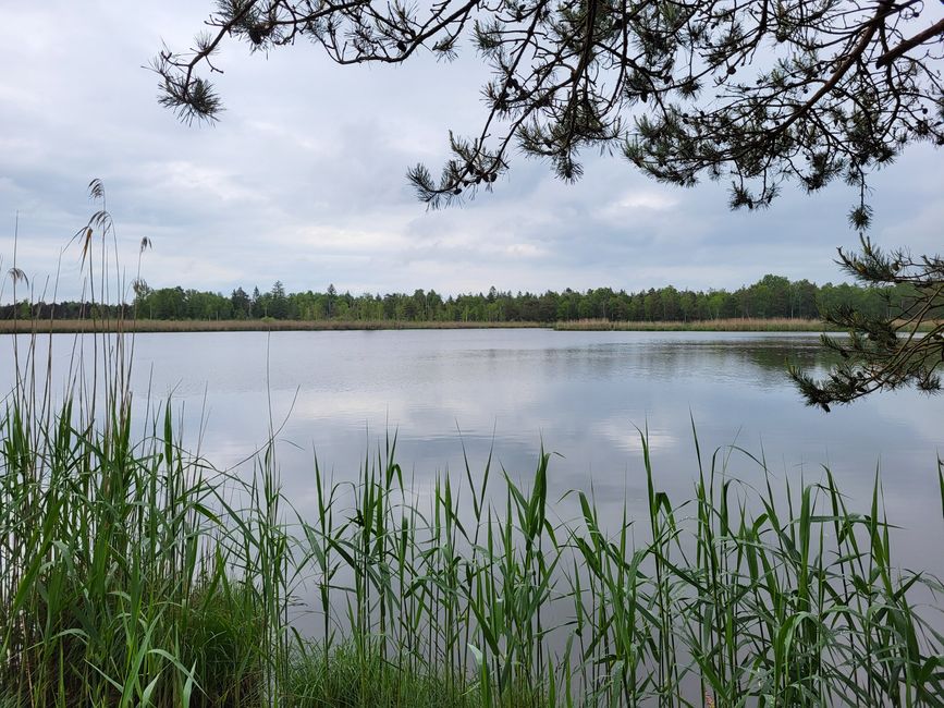 Ried Lake