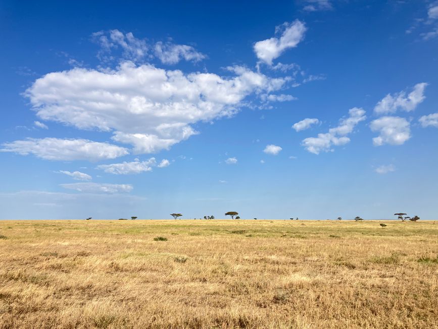 En la Serengeti - Día 2
