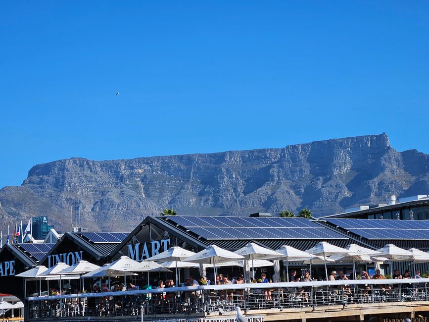 114. Tag Cape Town, South Africa 18.03.2026