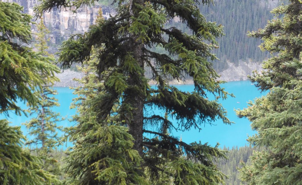 Lac Moraine