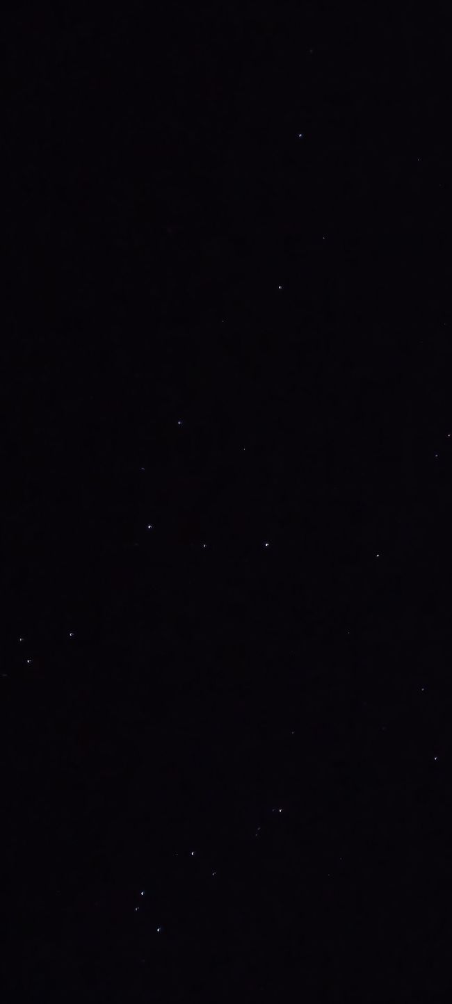 Glowworms Waipu Höhle