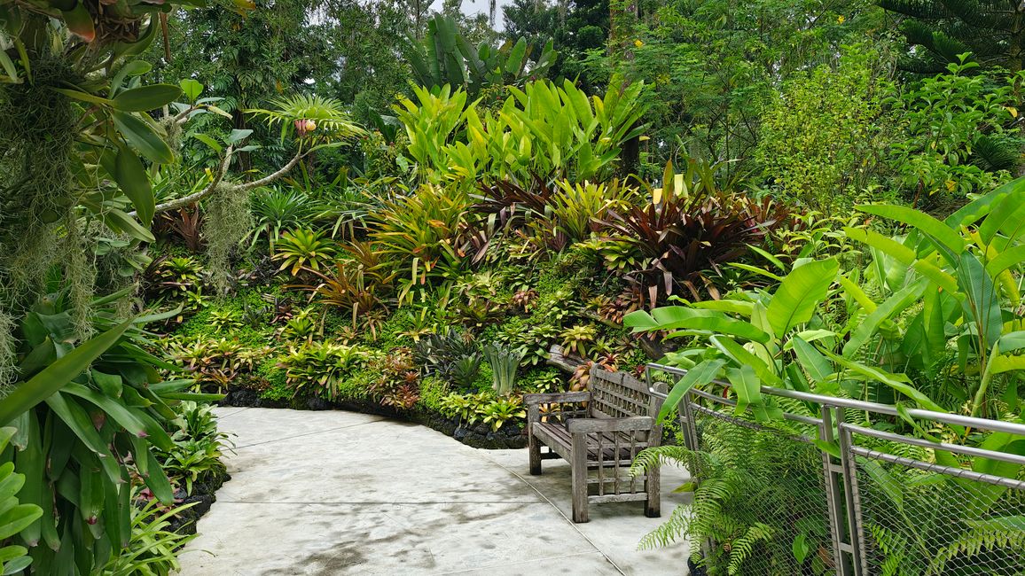 National Orchid Garden im SBG