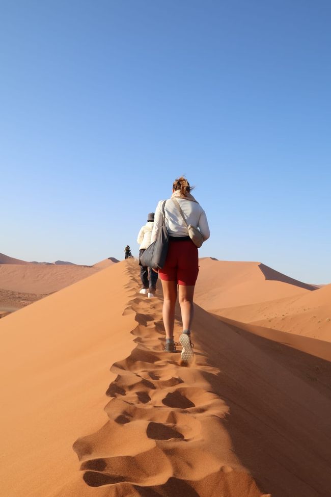 Desierto de Namibia 🏜️