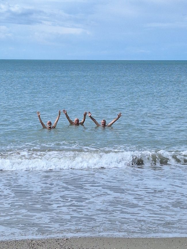 Beach Watch