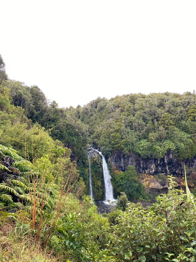 Dawson Falls