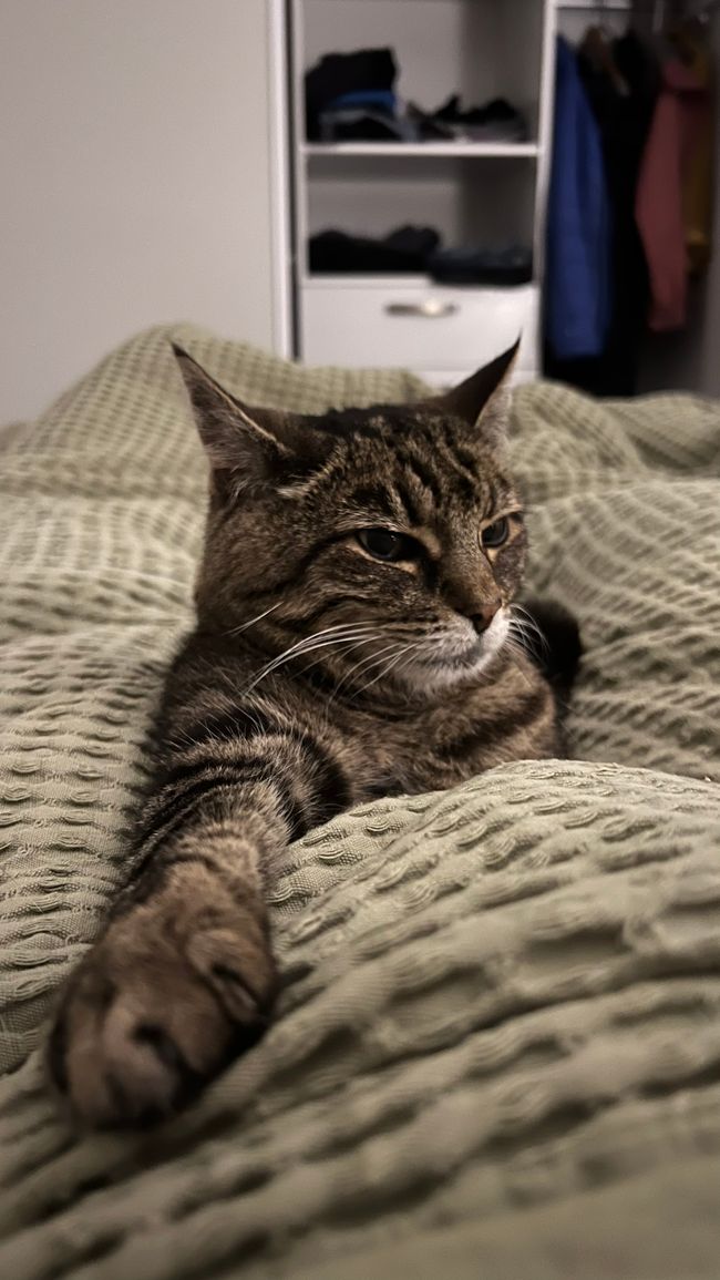 Luna mag uns inzwischen besonders gern :)
