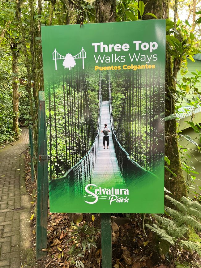 Parco delle orchidee e foresta nebulosa