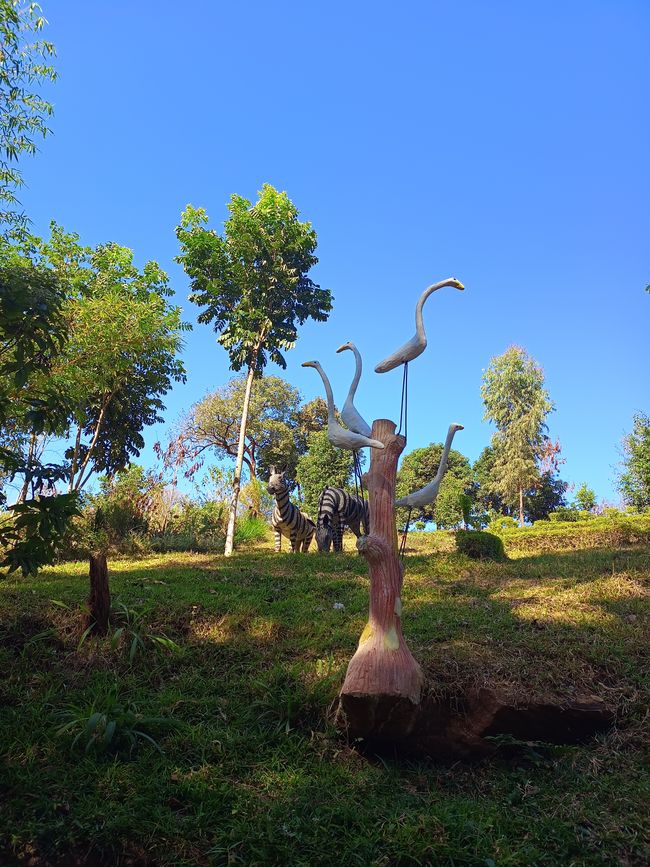 Cachoeira de Amizade/ Wasserfall der Freundschaft