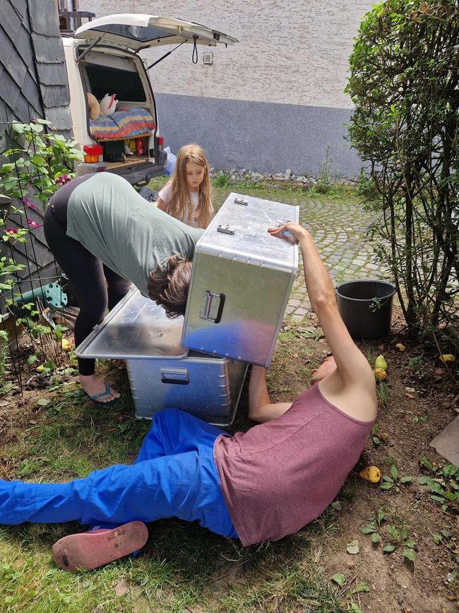 Neuses an den Eichen