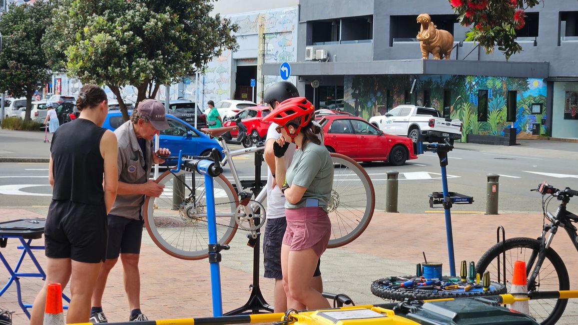 Lower Hutt - Wellington