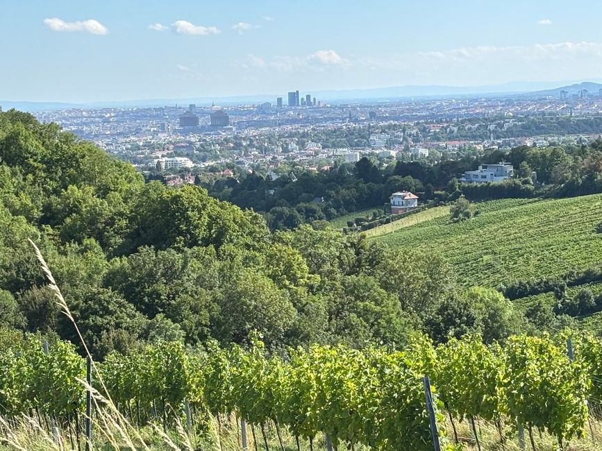 Viena