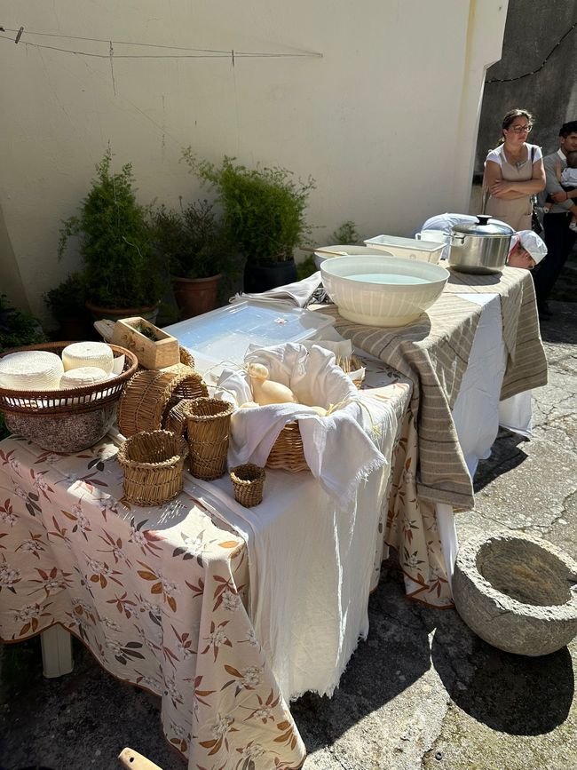 Mesa de quesos para la fiesta de la noche