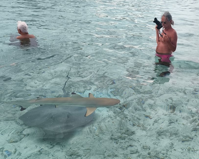 Bora-Bora ....