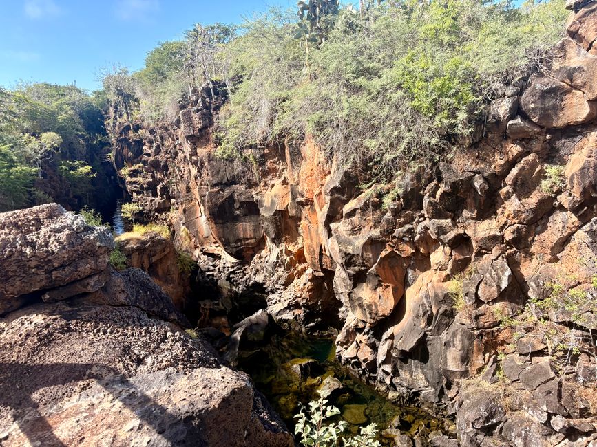Santa Cruz (Galápagos)