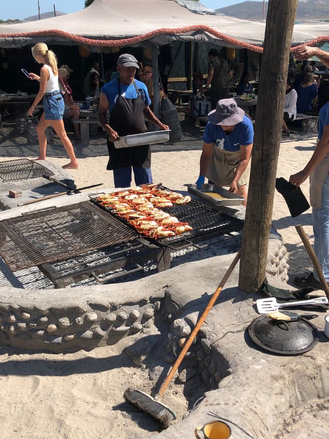 Die Strandloper - der Crayfish wird aufgelegt