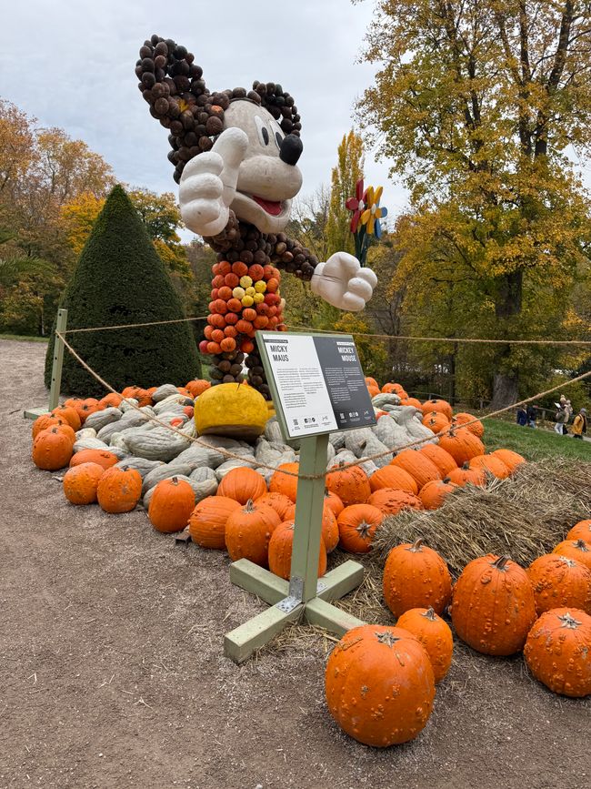 📍 Esposizione di zucche, Ludwigsburg/ 📍 Pumpkin exhibition, Ludwigsburg