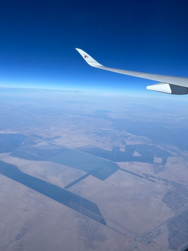 Abflug ins Abenteuer: Ursula, die Schere und ein großer Freund in Doha