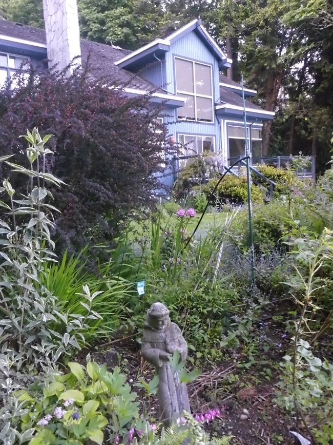 2025-05-21 Vancouver Island Wwoof