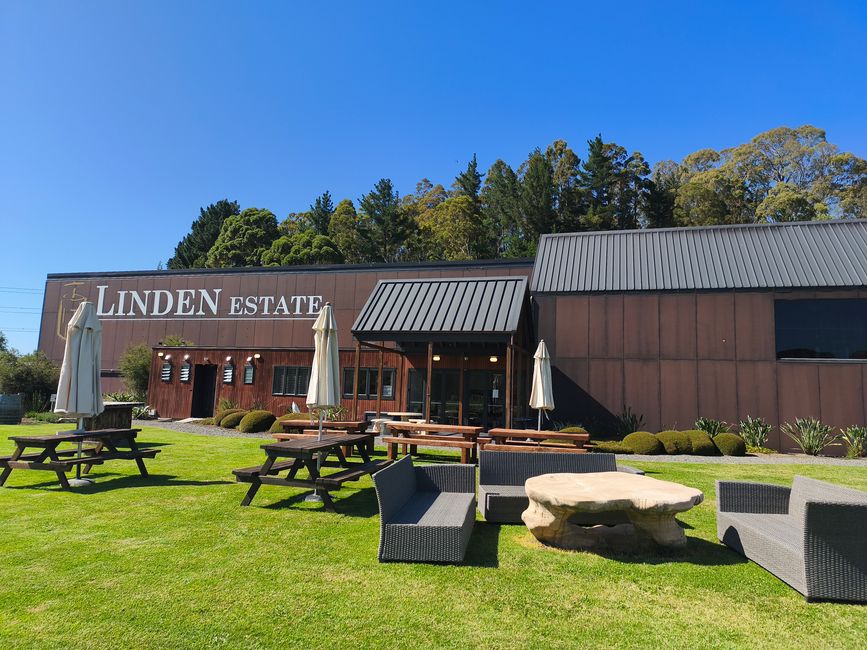Cantine a Hawke's Bay