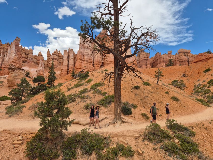 Bryce Canyon