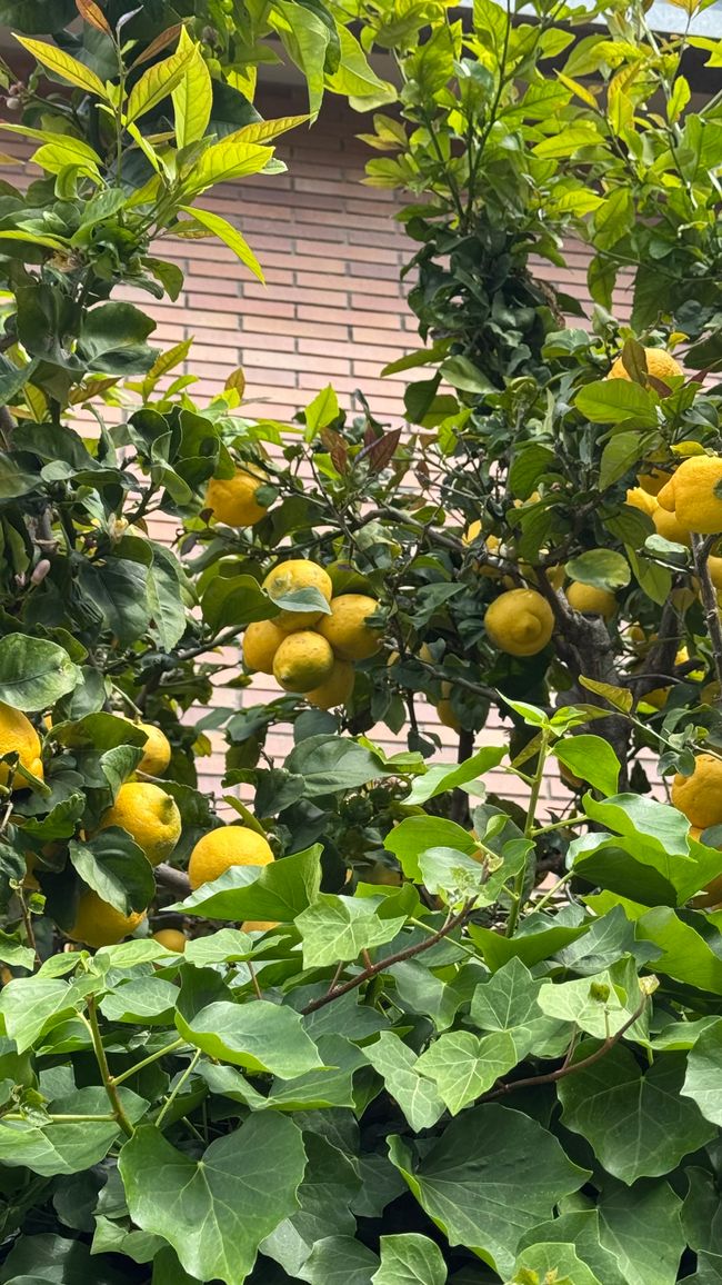 Tarragona - Vilanovapark 4 Sterne Campingplatz