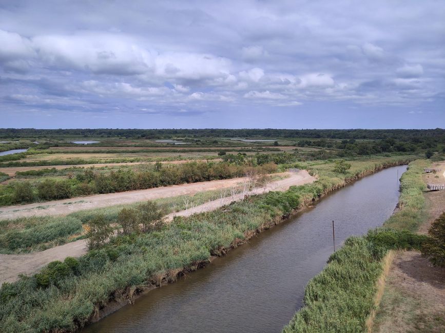 Le Teich